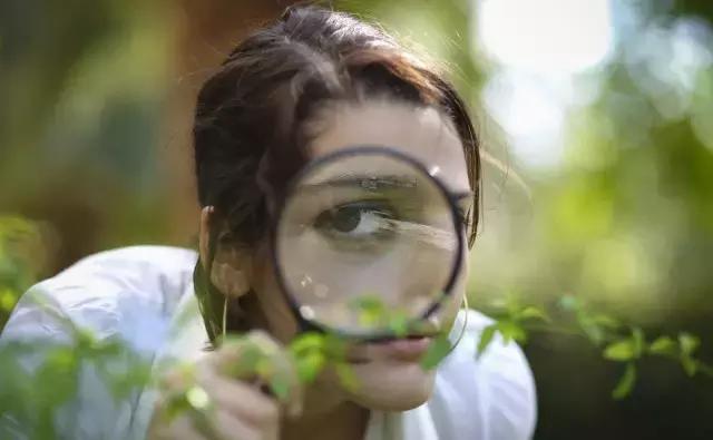 思考力决定竞争力作文提纲,公司的竞争力首先是系统思考力