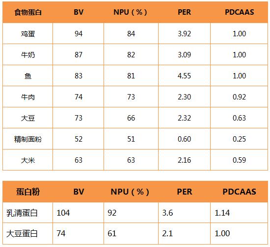 什么牌子的蛋白粉最好,如何选择优质蛋粉