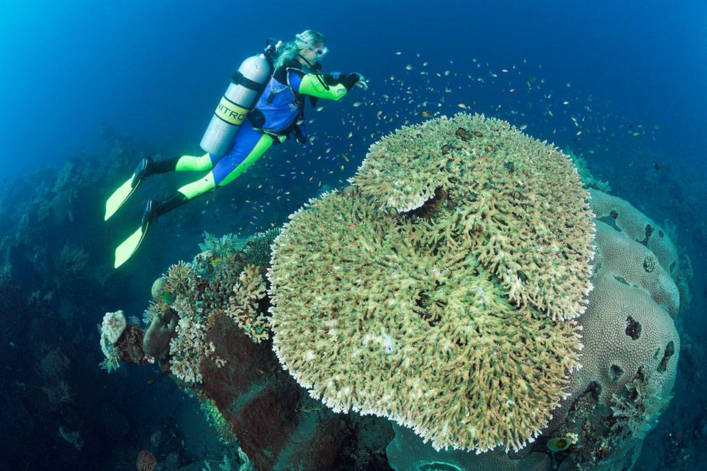 巴厘岛旅游不安全,巴厘岛十大禁忌景点