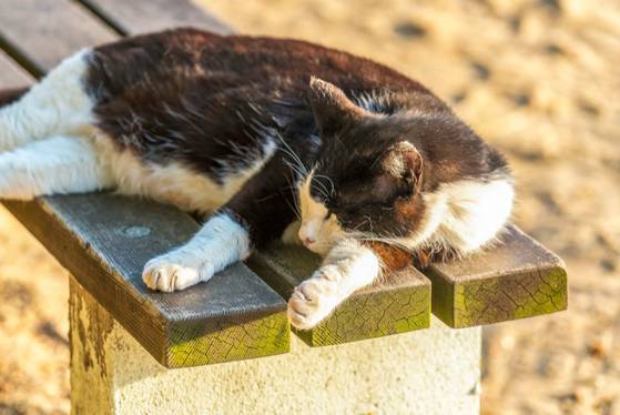 濑户——喜欢你那一抹蓝色光芒（上）