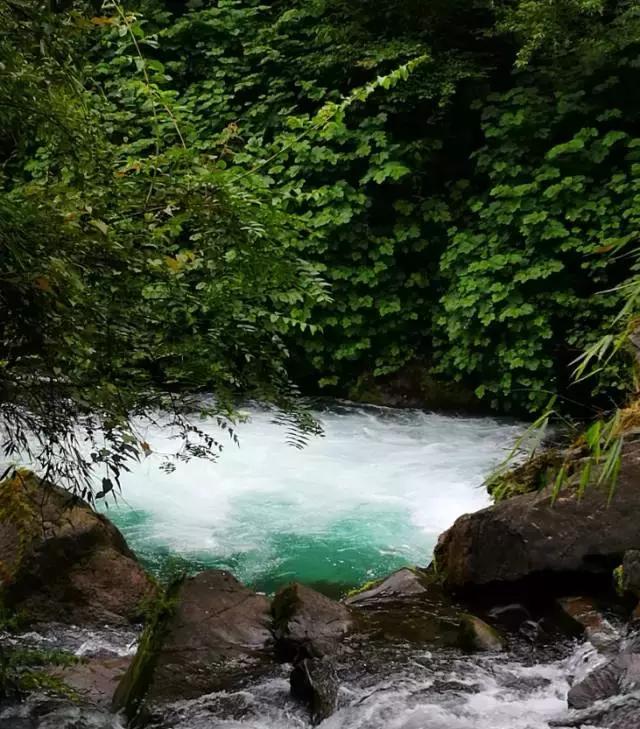 成都周边爬山最佳徒步攻略自由行,成都周边小众徒步冬季景点