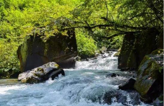 成都周边爬山最佳徒步攻略自由行,成都周边小众徒步冬季景点