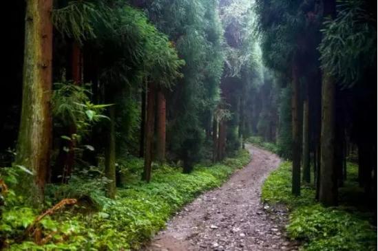 成都周边爬山最佳徒步攻略自由行,成都周边小众徒步冬季景点