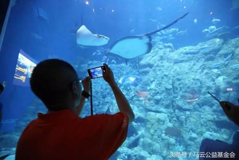 乡村教育家,中国乡村教育家