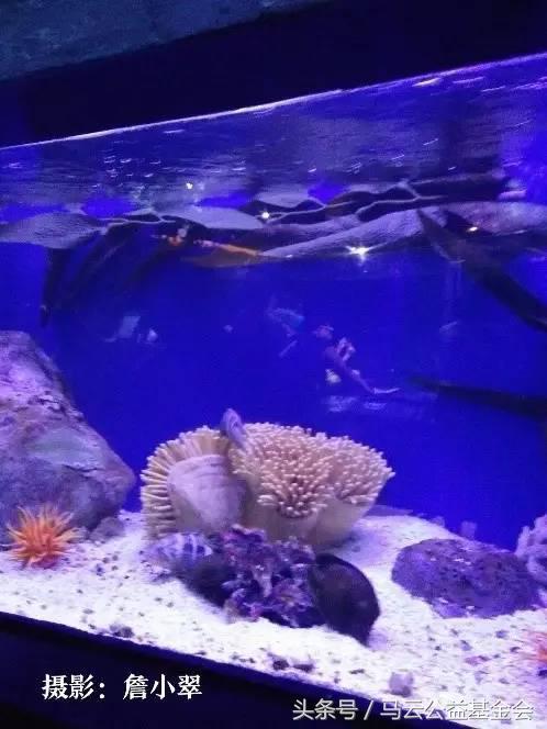 乡村教育家,中国乡村教育家