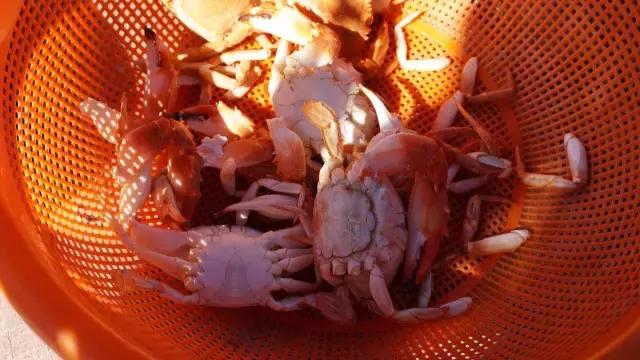 舟山朱家尖自驾游免费攻略,舟山旅游攻略自驾游朱家尖东沙岛