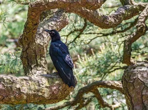 濑户——喜欢你那一抹蓝色光芒（上）