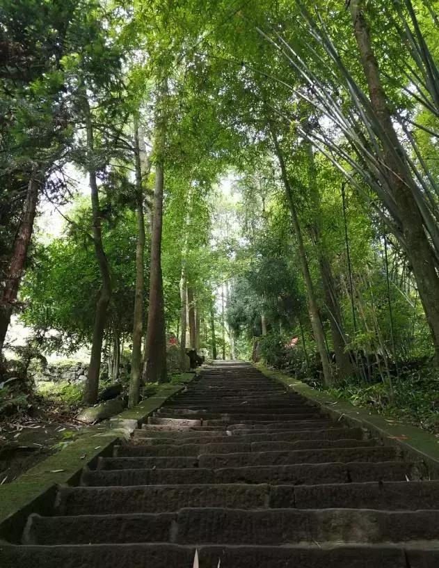 成都周边爬山最佳徒步攻略自由行,成都周边小众徒步冬季景点