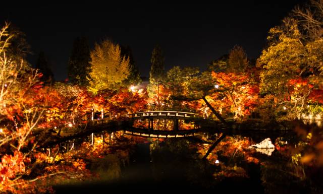 八月份定下的目标,秋季关西旅游攻略