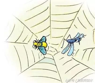 防水墙漏水怎么处理,广州卫生间渗水漏水防水补漏