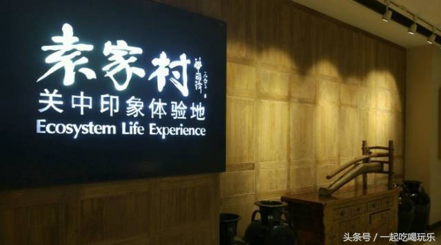 20元在西安吃什么饭,西安10元吃得饱的地方