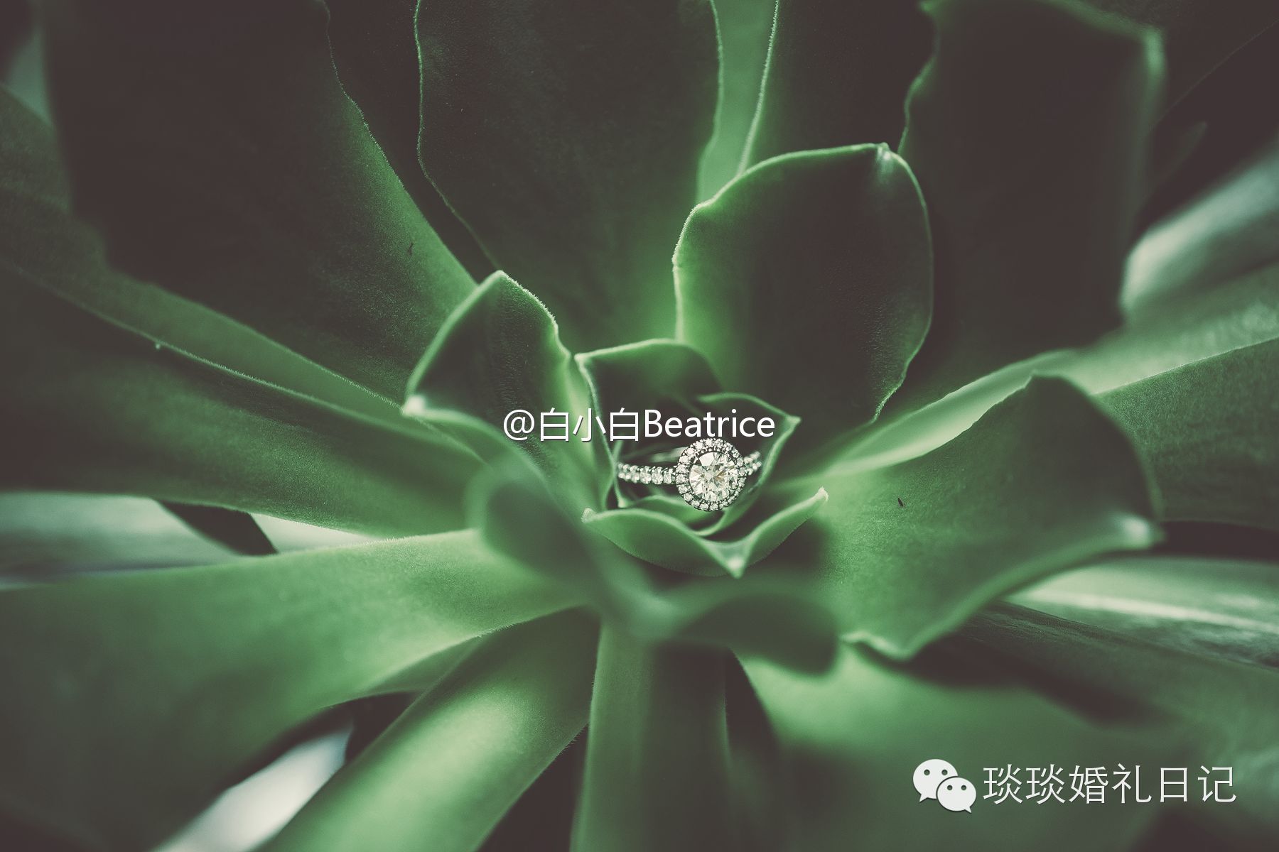 备婚日常备婚日记半年,备婚日常备婚记