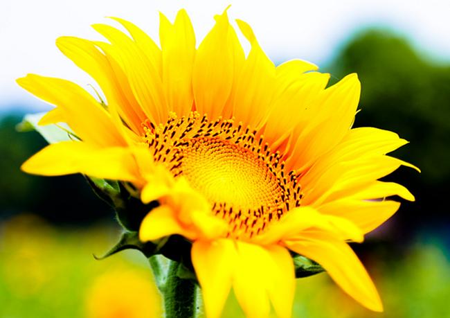 职场也需要品牌公关：如果我们是那名叫“海底捞”的员工