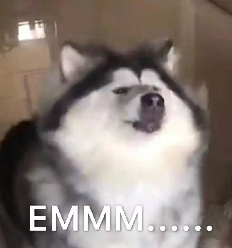 damnit是脏话吗,damnit算脏话吗