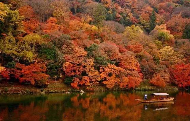 八月份定下的目标,秋季关西旅游攻略