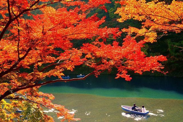 八月份定下的目标,秋季关西旅游攻略