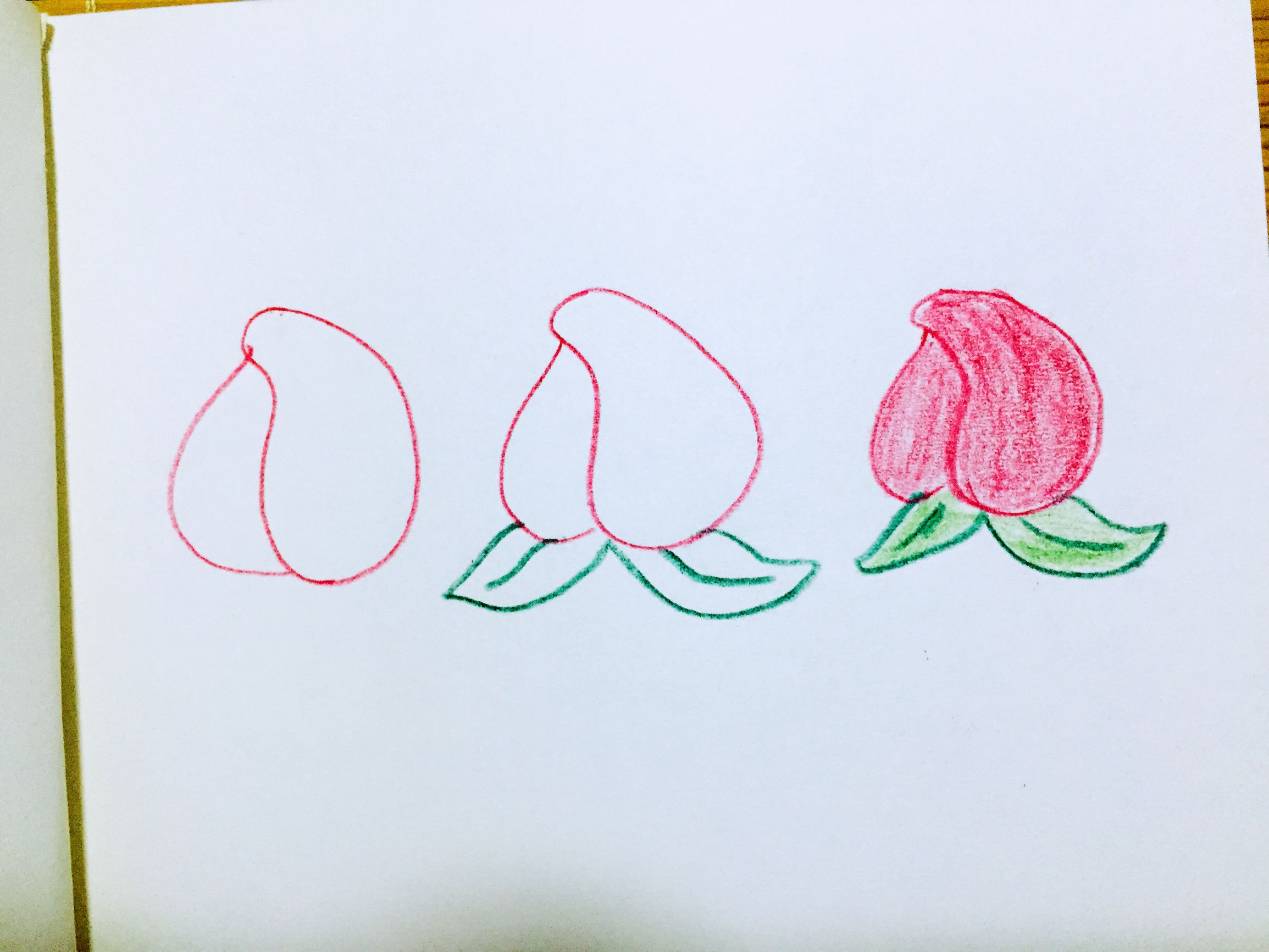 秋天的蔬果简笔画幼儿园,蔬果食物简笔画可爱