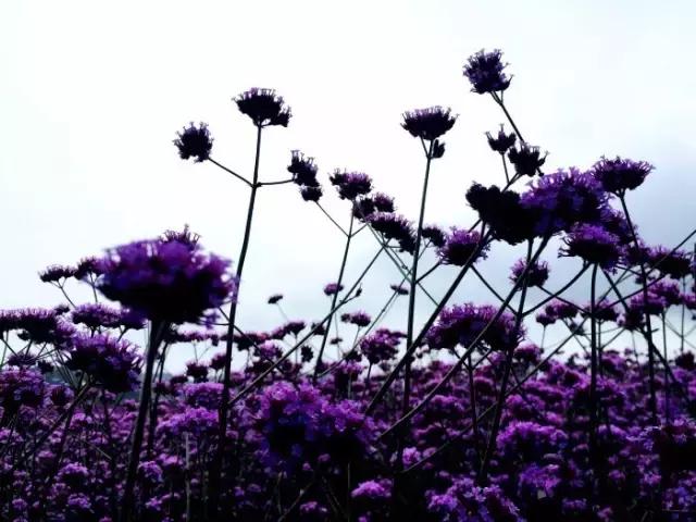 宁波浪漫的约会地点,宁波求婚地方推荐