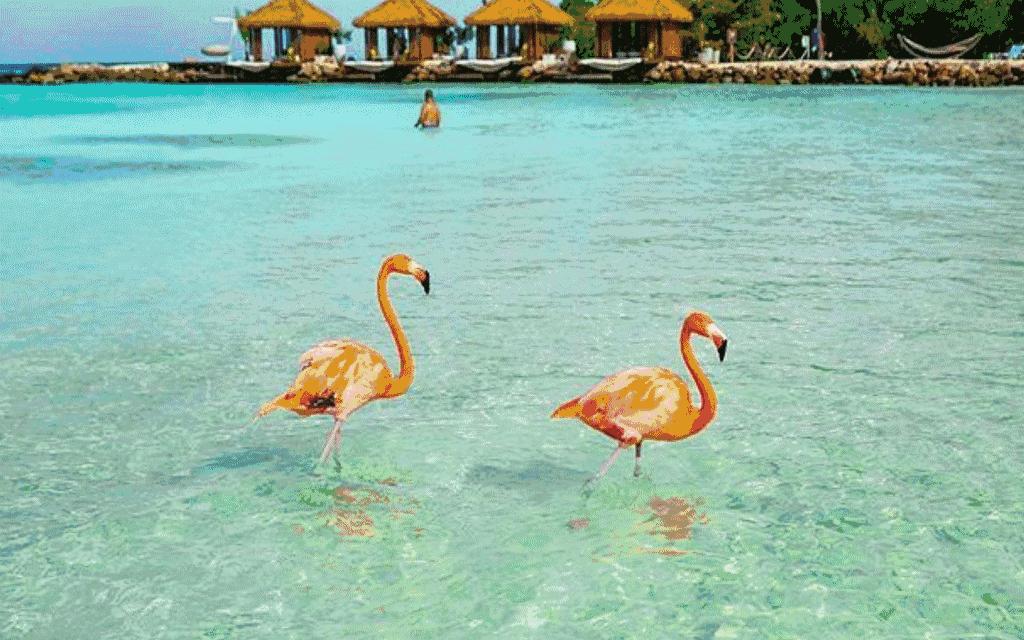 去旅游拍的风景照怎么发朋友圈,怎么给朋友圈的旅游照点评