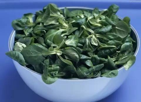 野菜对身体有什么好处,10种野菜的惊人功效