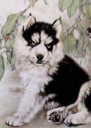 十二生肖文化国内外研究现状,十二生肖文化普及宣传央视