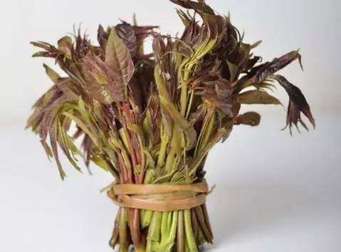 野菜对身体有什么好处,10种野菜的惊人功效