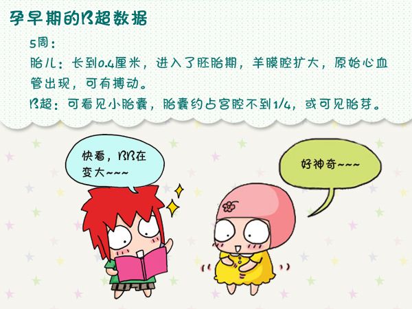 孕早期B超都能检查出什么