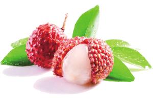 海南屯昌怎么样,不一样的黎塘