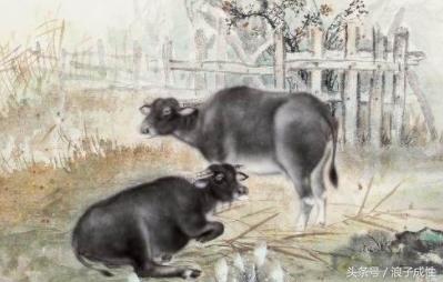 十二生肖文化国内外研究现状,十二生肖文化普及宣传央视