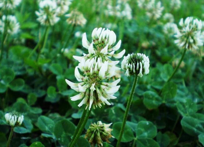 如何确定绩效考核的指标和内容,有哪些方法可以确定绩效考评权重