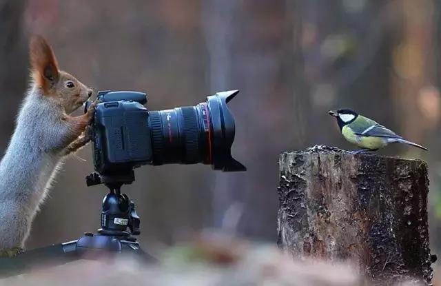 用什么软件可以让照片变得更清晰,有什么办法可以让照片变得更清晰