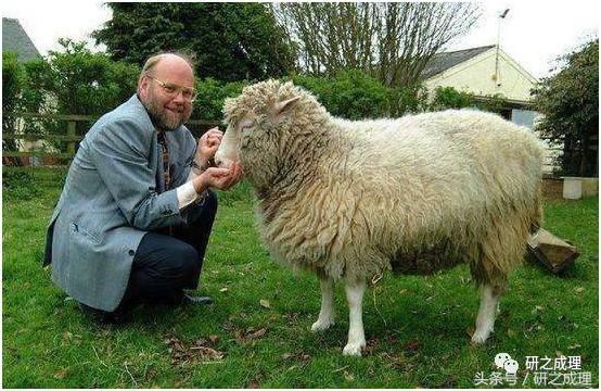 论文学语言的特征,学术论文的语言特点与写作风格