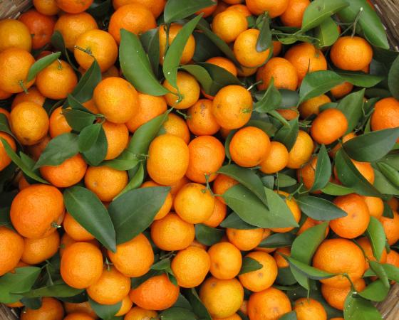 百分之99的人都分不清,百分之99的人都分不清东南西北