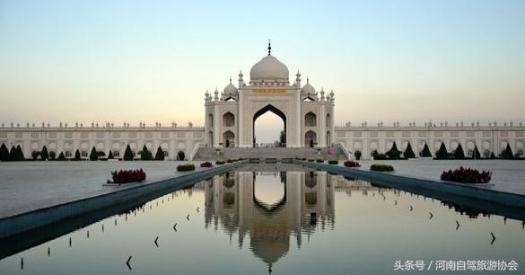 胡杨林景区额济纳旗司机,新疆自驾老司机