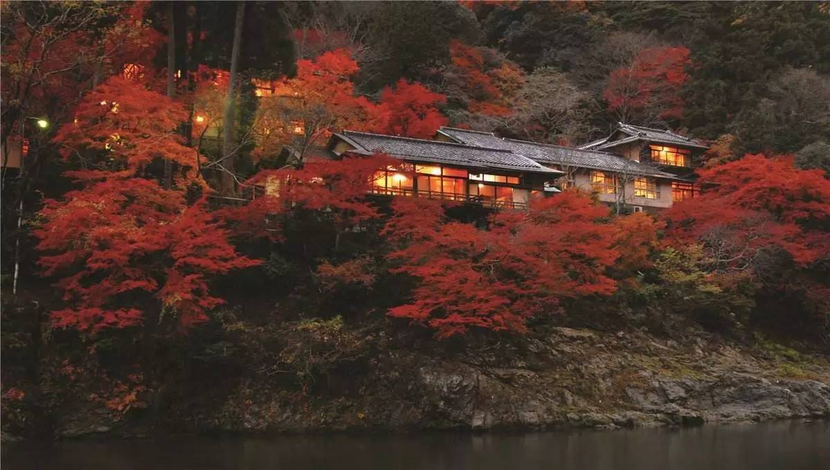 种草志｜800年历史风华的京都四季，顺便告诉你京都怎么住