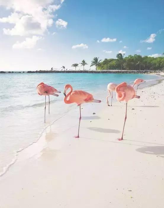 去旅游拍的风景照怎么发朋友圈,怎么给朋友圈的旅游照点评