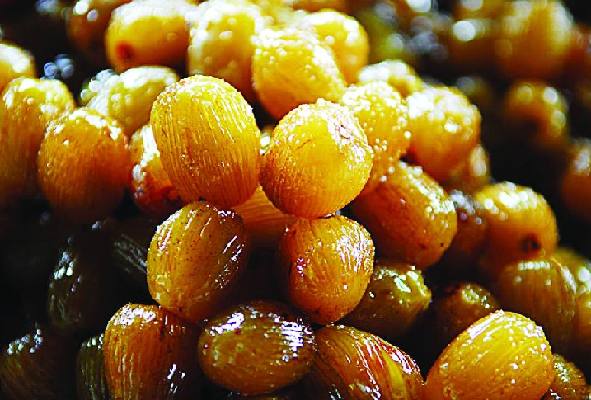 适合在湖南种植的枣子品种有哪些,我国枣树最多的地方