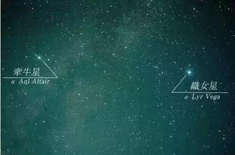 大家七夕都在说的鹊桥有多长,七夕快乐真的快乐吗