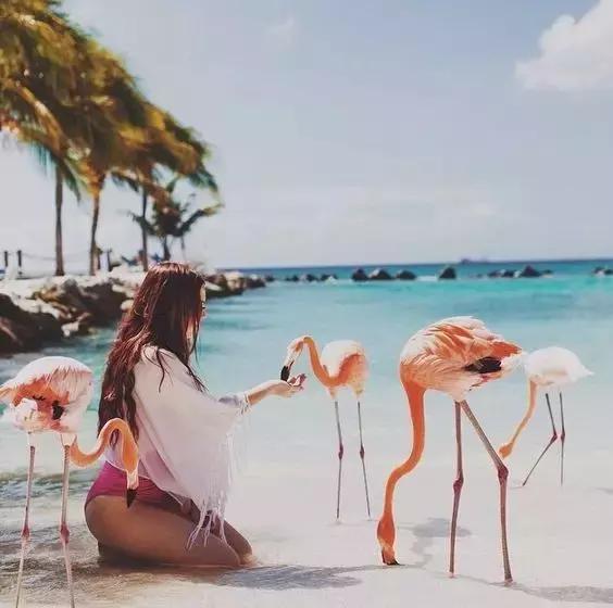 去旅游拍的风景照怎么发朋友圈,怎么给朋友圈的旅游照点评