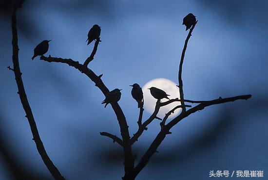 说说上一年情人节陪你身边的那个人现在还在吗？