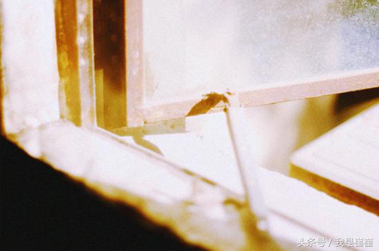 说说上一年情人节陪你身边的那个人现在还在吗？