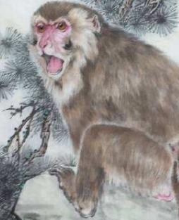 十二生肖文化国内外研究现状,十二生肖文化普及宣传央视