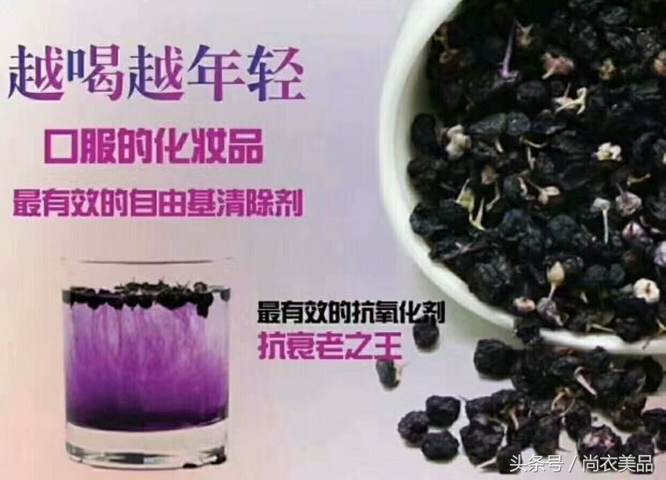 野生黑枸杞和人工种植黑枸杞,野生黑枸杞与种植黑枸杞区别