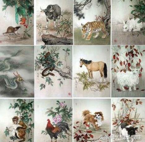 十二生肖文化国内外研究现状,十二生肖文化普及宣传央视