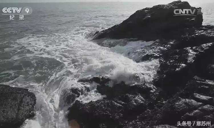 舌尖上的中国之麻辣小海鲜,舌尖上的中国小海鲜