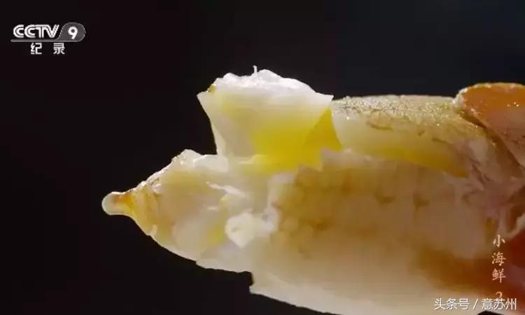 舌尖上的中国之麻辣小海鲜,舌尖上的中国小海鲜