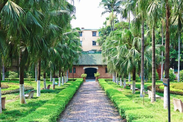 真光学校和真光中学有什么不同,真光中学简介