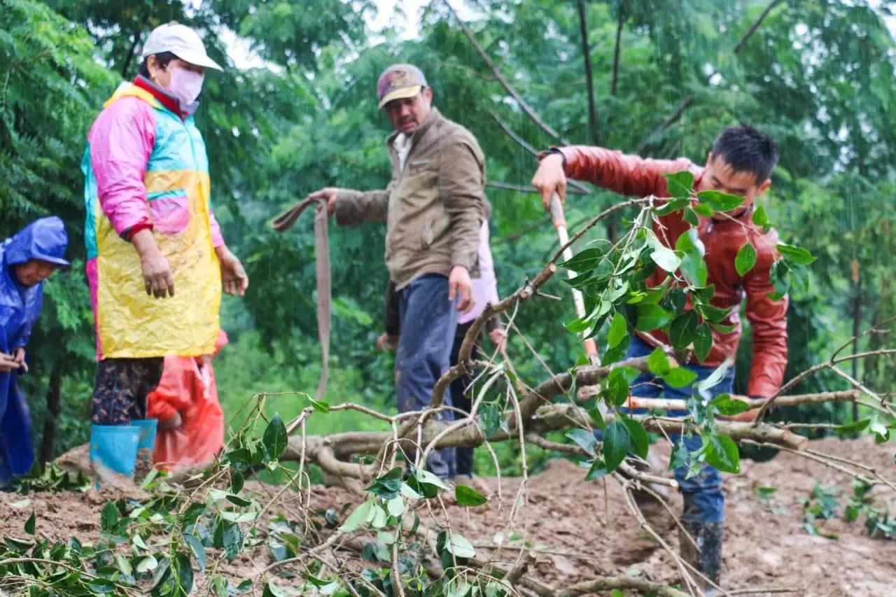许昌花博会好玩吗,许昌花博园景观