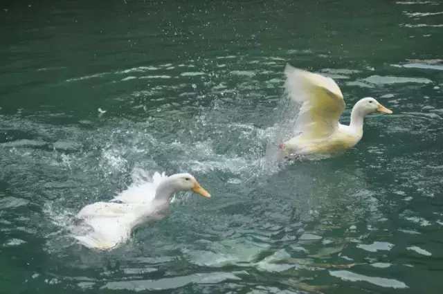 好得家装修,好得家装饰设计工程