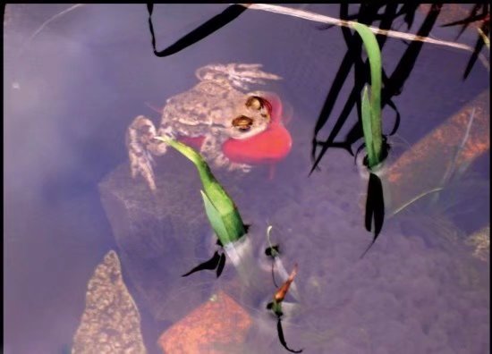 撕膜的正确方法你学会了么,如何撕膜撕得更快